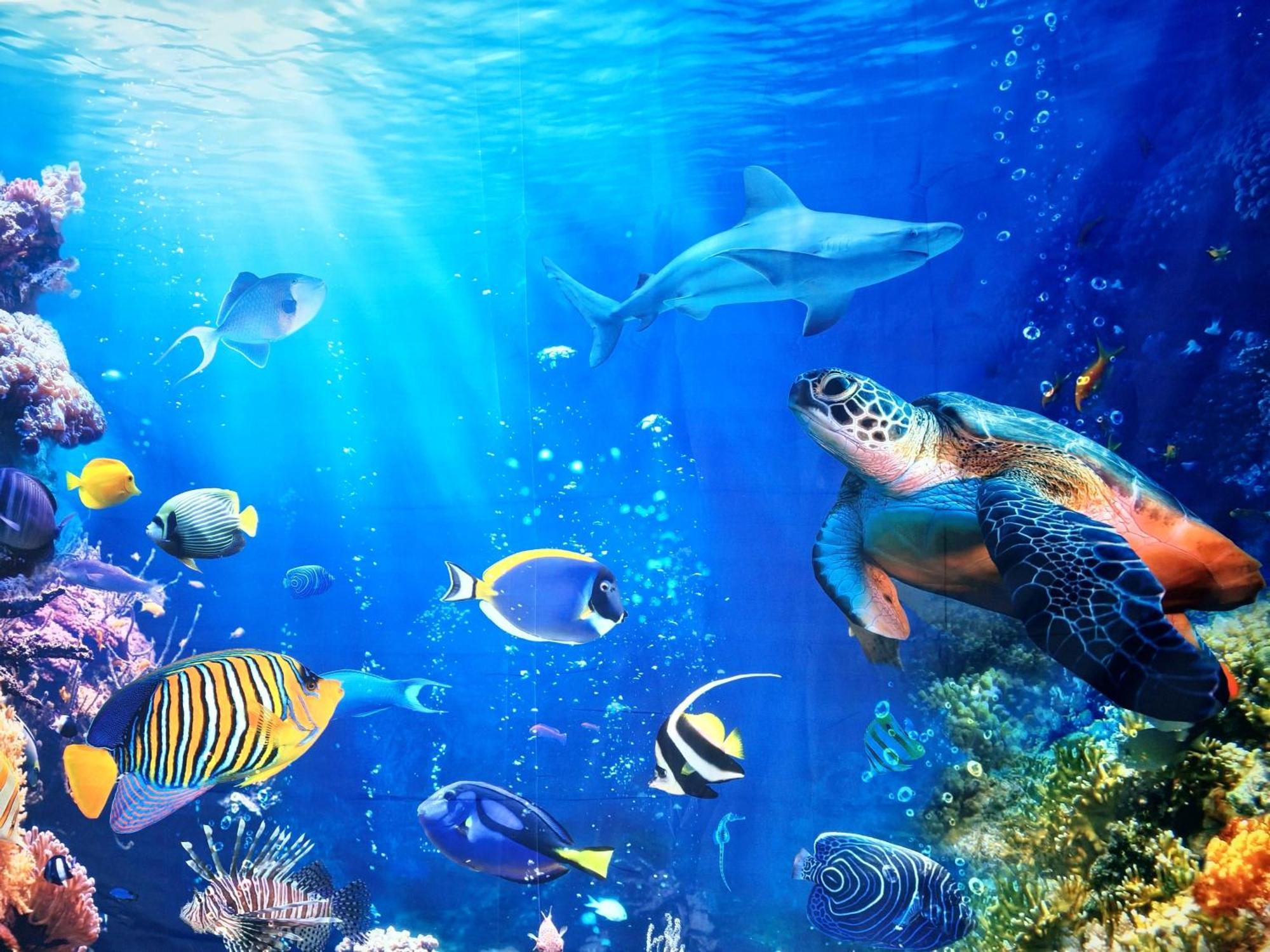 Pangsapuri 5-6 Pax Luxury - Ocean Theme Seremban
